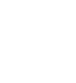 Iekšējās drošības birojs